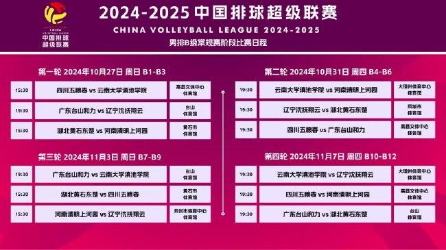 2024-2025新奥正版全年免费资料,精选资料解析大全