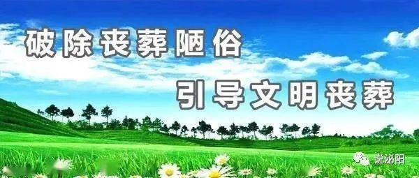 广东省环保厅，推动绿色发展的先锋力量