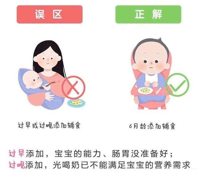 宝宝三个月能吃辅食吗？新手爸妈需知的辅食添加知识