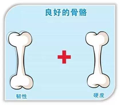 宝宝成长过程中的骨骼发育，几个月内骨头硬度逐渐增强