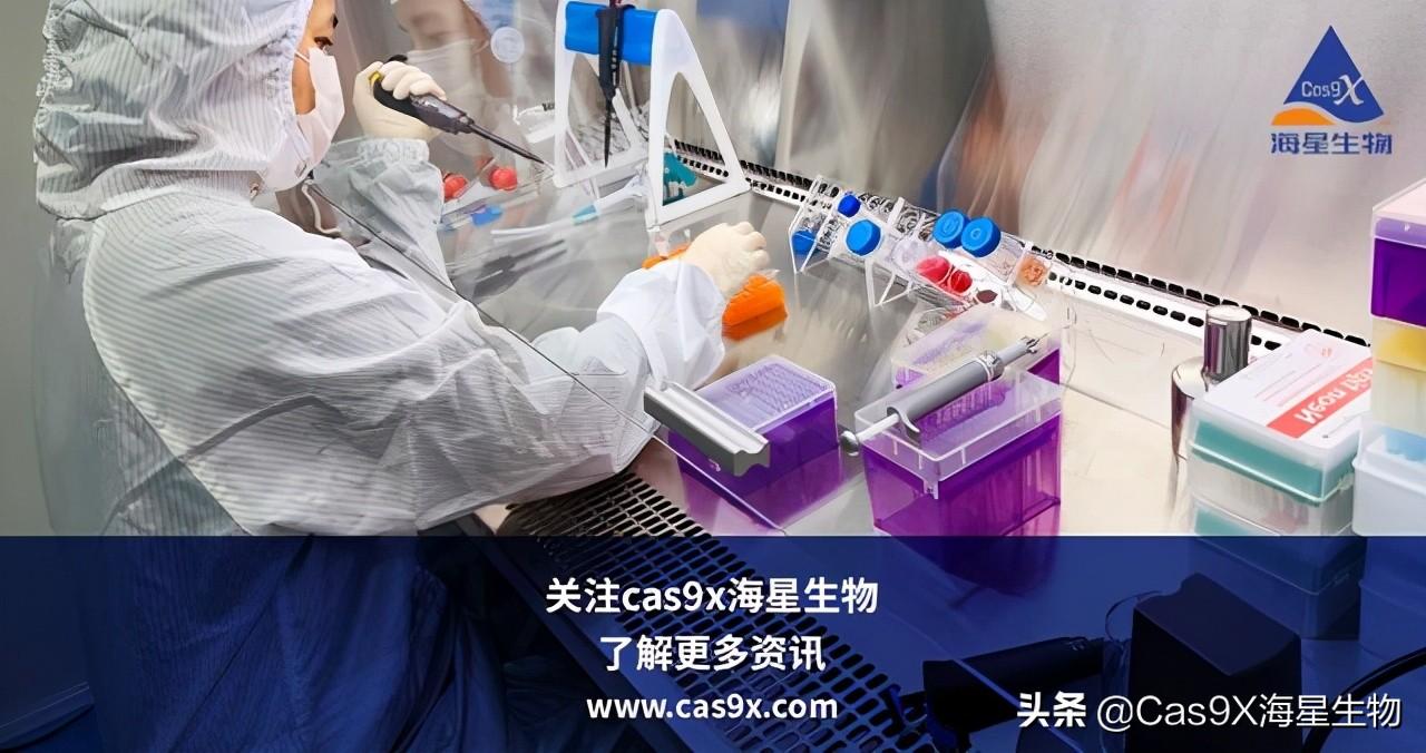 广东省基因检查，探索生命科学的未来之路