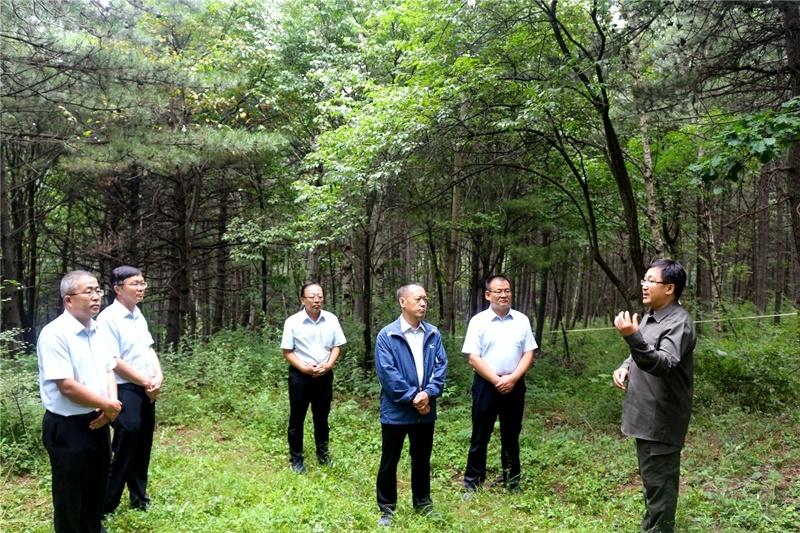 他项权证与房产证，房地产交易的双重保障