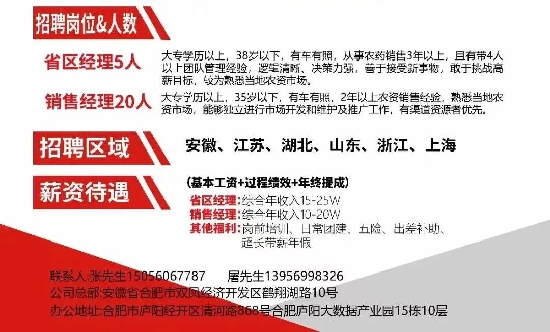 江苏环亚科技招聘——探寻人才，共筑未来科技梦想